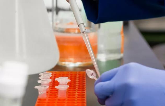 Functional Coatings for Medical Use: Surface Engineering for Advanced Medical Devices Functional Coatings for Medical Use: Surface Engineering for Advanced Medical Devices