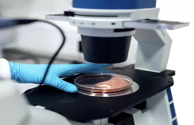 Advantages of Phosphorylcholine Coating in Medical Applications
