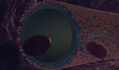 SILVERMARS® Medical Phosphorylcholine Coating Series